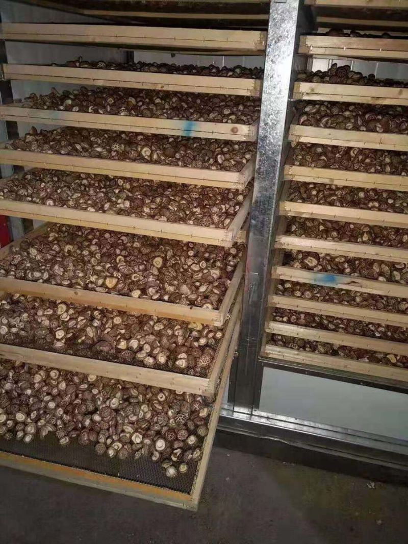 HNHGJ-D4型電加熱型箱式自動(dòng)脫水烘干機(jī) HNHGJ-D4型電加熱型箱式自動(dòng)脫水烘干機(jī)